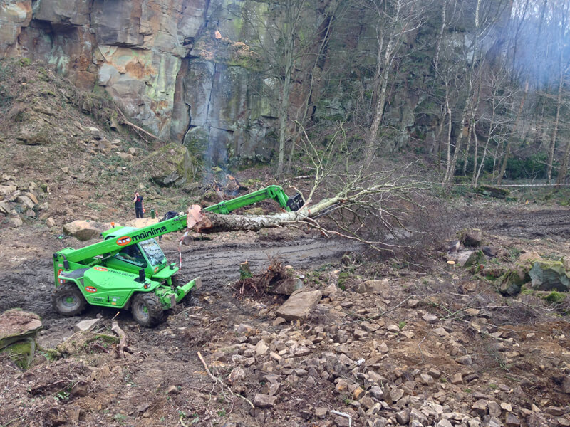 The telehandler coming into its own, moving whole trees at a time