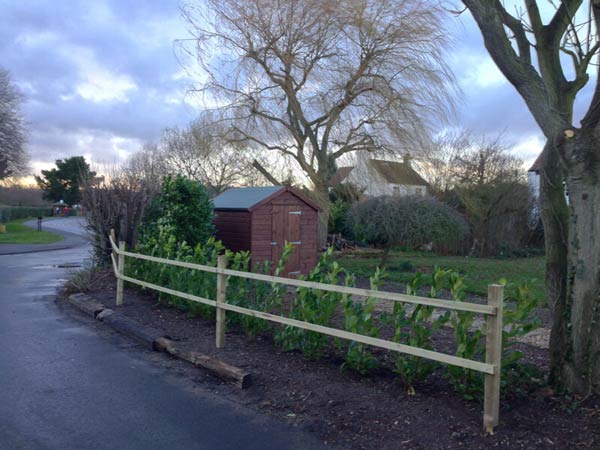 The completed planting and installation of a basic fence to protect the hedge for the first year