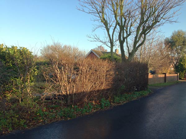 The existing sparse hedging which didn't meet the client's requirements