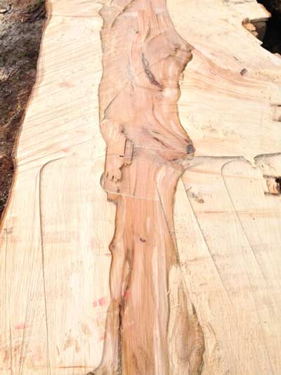 Processing the timber to create manageable pieces for milling