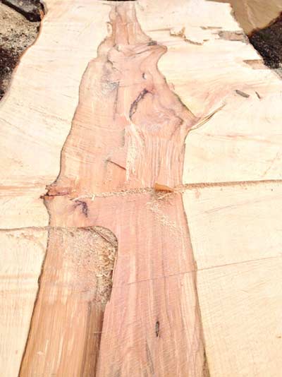 Processing the timber to create manageable pieces for milling