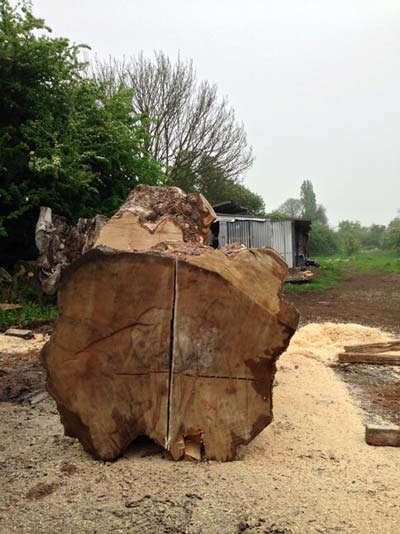 Processing the timber to create manageable pieces for milling