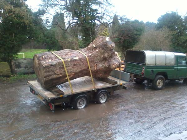 Transporting the timber
