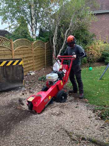 Stump Grinding Sheffield